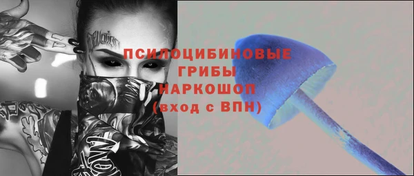 дживик Балахна