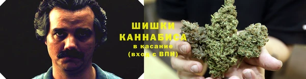 бутират Баксан