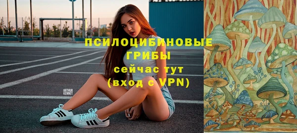 бутират Баксан